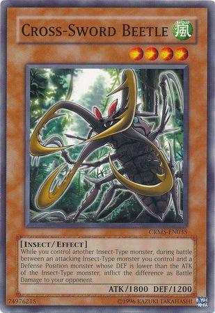 Cross-Sword Beetle CRMS-EN035