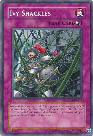 Ivy Shackles CRMS-EN070
