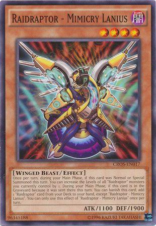 Raidraptor - Mimicry Lanius CROS-EN017