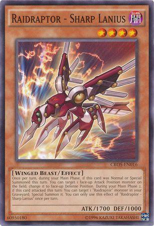 Raidraptor - Sharp Lanius CROS-EN016