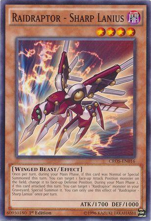 Raidraptor - Sharp Lanius [1st Edition] CROS-EN016