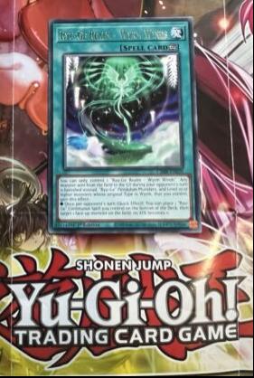 Ryu-Ge Realm - Wyrm Winds [Super Rare] CRBR-EN039