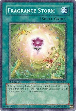 Fragrance Storm [1st Edition] CSOC-EN058