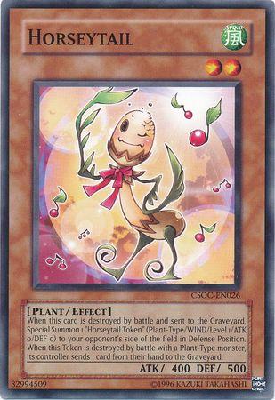 Horseytail CSOC-EN026