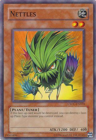 Nettles CSOC-EN024