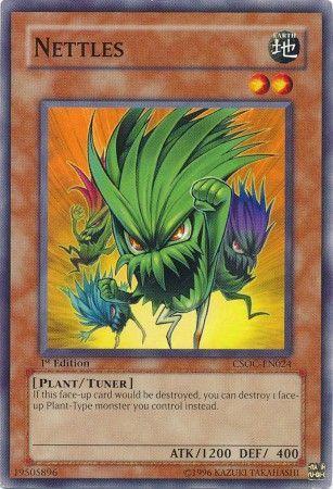 Nettles [1st Edition] CSOC-EN024