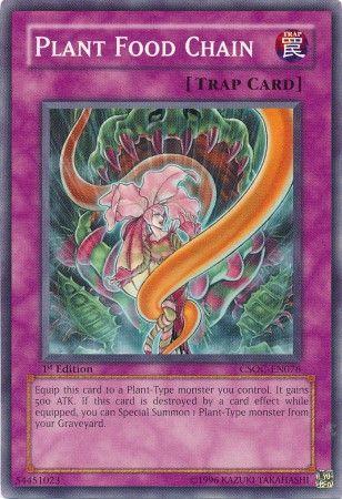 Plant Food Chain [1st Edition] CSOC-EN076