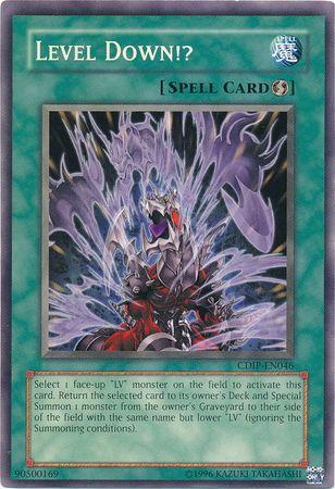 Level Down!? CDIP-EN046