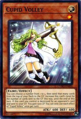 Cupid Volley CYHO-EN024