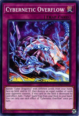 Cybernetic Overflow CYHO-EN073