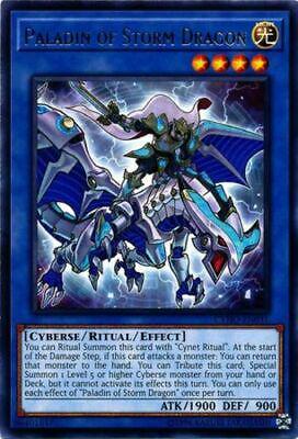 Paladin of Storm Dragon CYHO-EN031