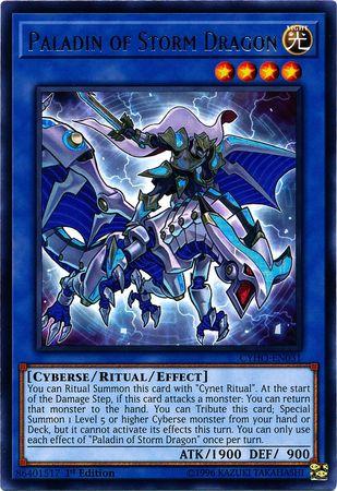 Paladin of Storm Dragon [1ST Edition] CYHO-EN031