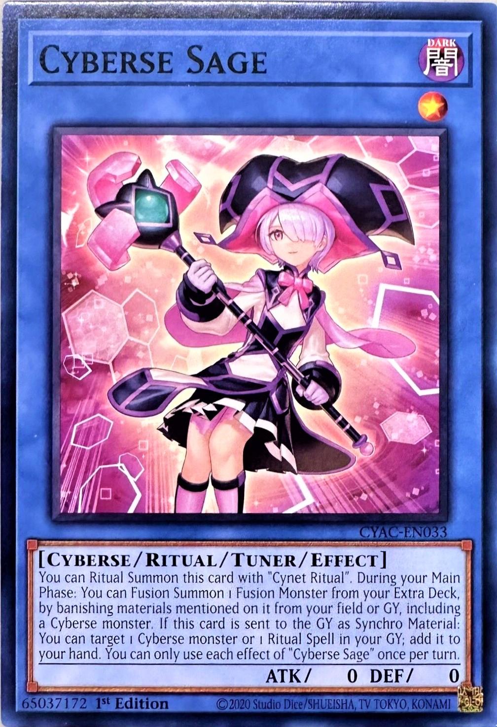 Cyberse Sage CYAC-EN033