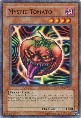 Mystic Tomato DLG1-EN077