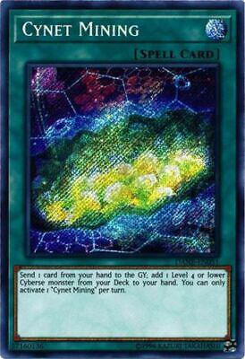 Cynet Mining DANE-EN051