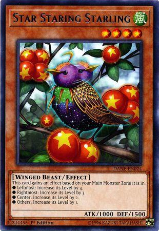 Star Staring Starling [1st Edition] DANE-EN024