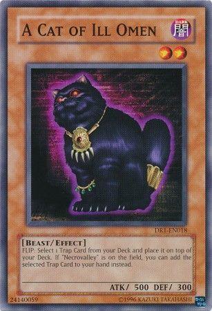 A Cat of Ill Omen DR1-EN018