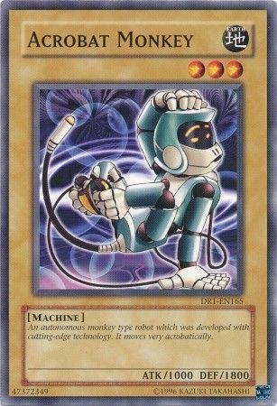 Acrobat Monkey DR1-EN165