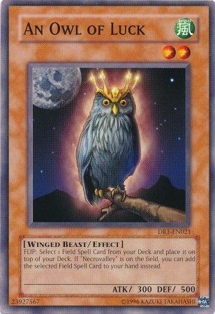 An Owl of Luck DR1-EN021