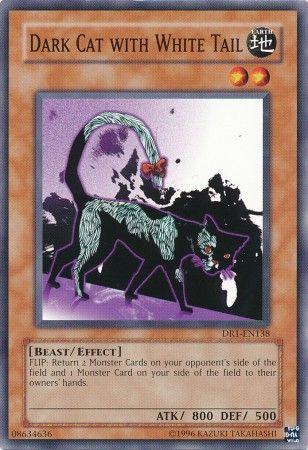 Dark Cat with White Tail DR1-EN138