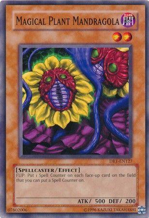 Magical Plant Mandragola DR1-EN127