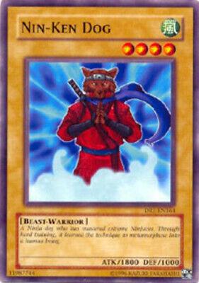 Nin-Ken Dog DR1-EN164