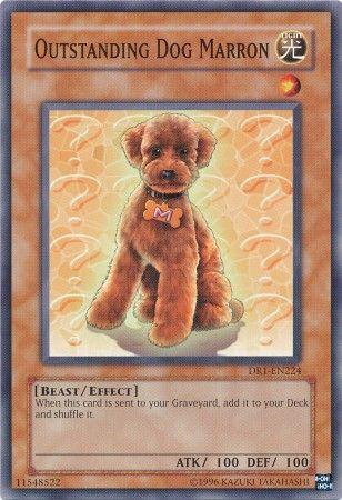Outstanding Dog Marron DR1-EN224
