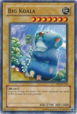 Big Koala DR2-EN004