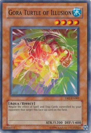Gora Turtle of Illusion DR2-EN067