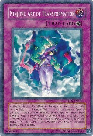 Ninjitsu Art of Transformation DR2-EN164