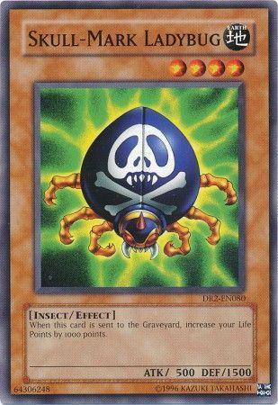 Skull-Mark Ladybug DR2-EN080