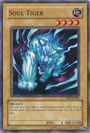 Soul Tiger DR2-EN003
