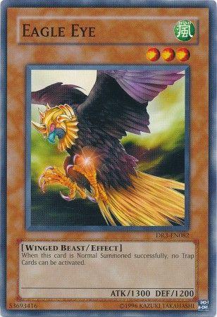 Eagle Eye DR3-EN082