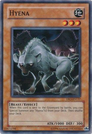 Hyena DR3-EN137