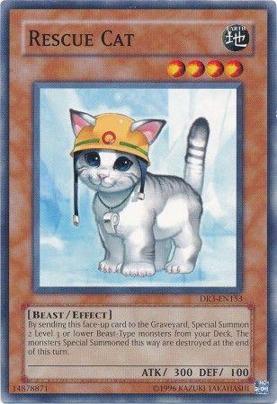 Rescue Cat DR3-EN153