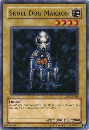Skull Dog Marron DR3-EN003