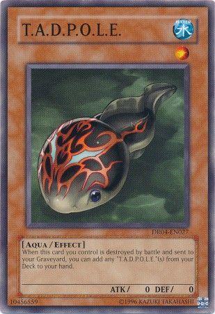 T.A.D.P.O.L.E. DR04-EN027