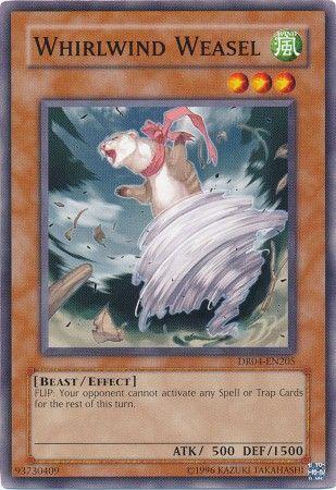 Whirlwind Weasel DR04-EN205