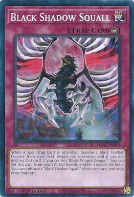 Black Shadow Squall DABL-EN072