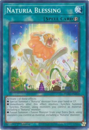 Naturia Blessing DABL-EN064