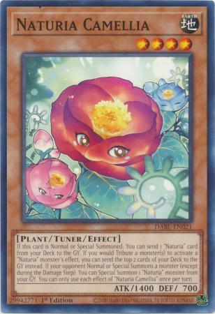 Naturia Camellia DABL-EN021