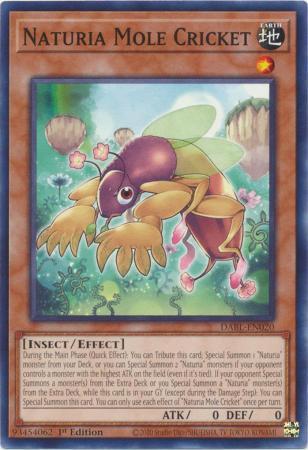 Naturia Mole Cricket DABL-EN020