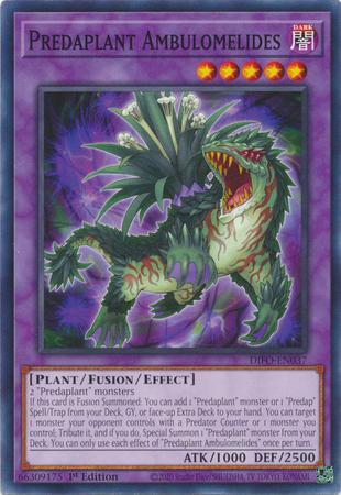 Predaplant Ambulomelides [1st Edition] DIFO-EN037