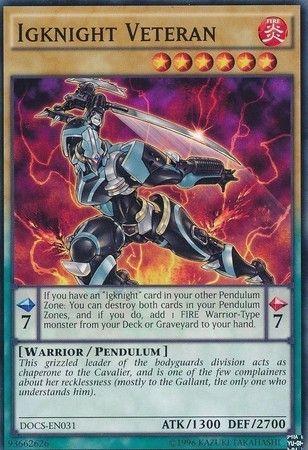 Igknight Veteran DOCS-EN031