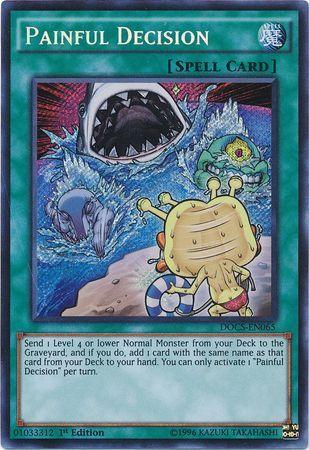 Painful Decision [1st Edition] DOCS-EN065
