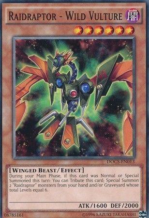 Raidraptor - Wild Vulture DOCS-EN013