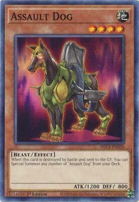 Assault Dog [1st Edition] DLCS-EN035