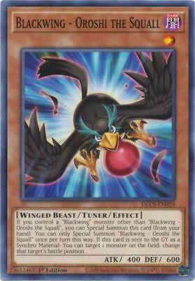 Blackwing - Oroshi the Squall [1st Edition] DLCS-EN029