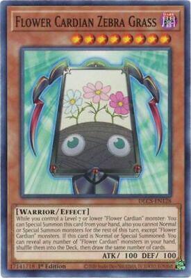 Flower Cardian Zebra Grass [1st Edition] DLCS-EN128