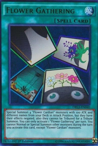 Flower Gathering DLCS-EN136